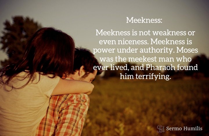 Meekness - Words that Matter - Sermo Humilis
